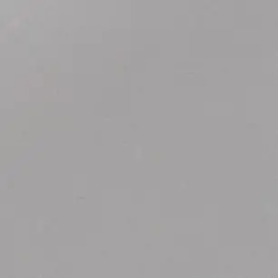 Profile image of 이상한나라의스텔라