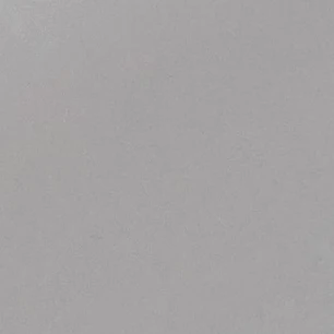 이상한나라의스텔라
