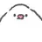 りょつ