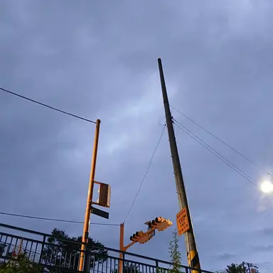 Profile image of 고고프렌즈