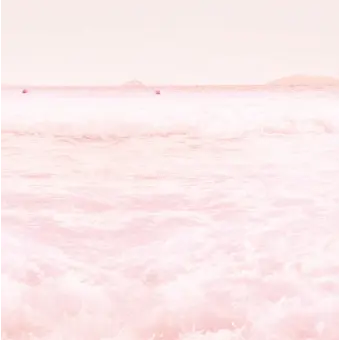 Profile image of 라테