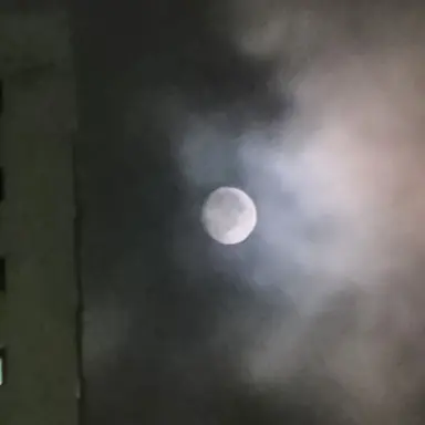 Profile image of 해원