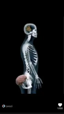 Profile image of 늑대