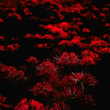 Profile image of 화요