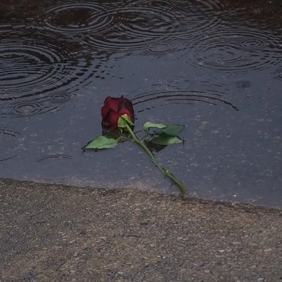 MIGIOTA의 弱りきった都市警備部隊さん