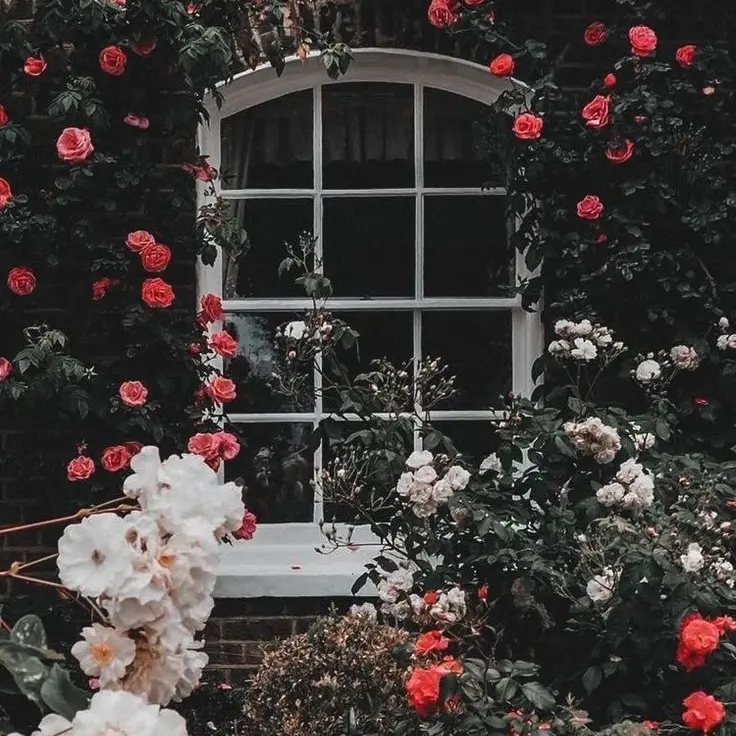 Tukasaki__의 天使