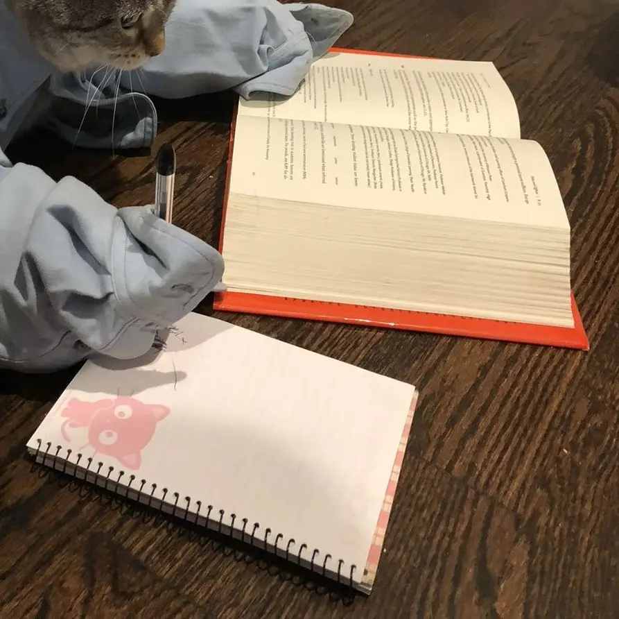 HCloversclub의 프리지아