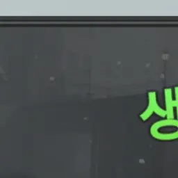 WittyPea4968의 키우기