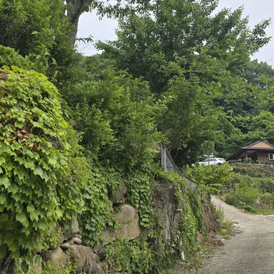 Profile image of 잠뜰