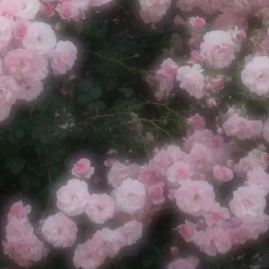 Profile image of 宇佐美