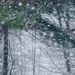 Profile image of 오시온