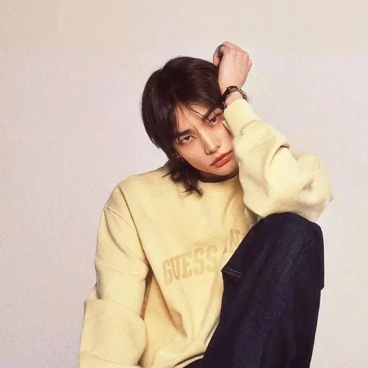 RainyMole9295의 Hyunjin husband
