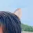 はやと