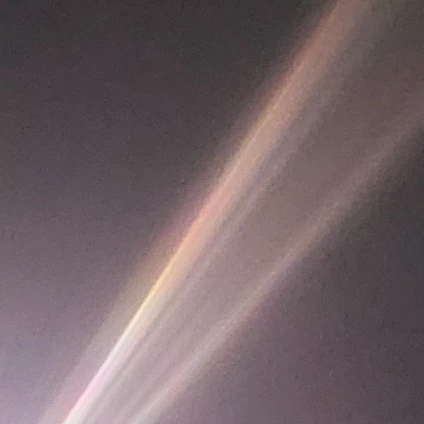 뜰 학교