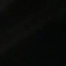 Profile image of Stan