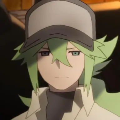 Profile image of N