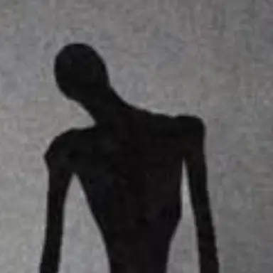 Profile image of The shadow