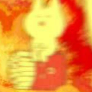 모게코
