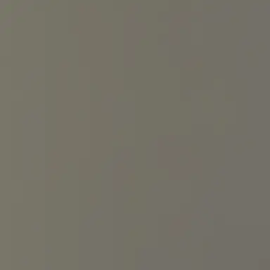 Profile image of 종천러