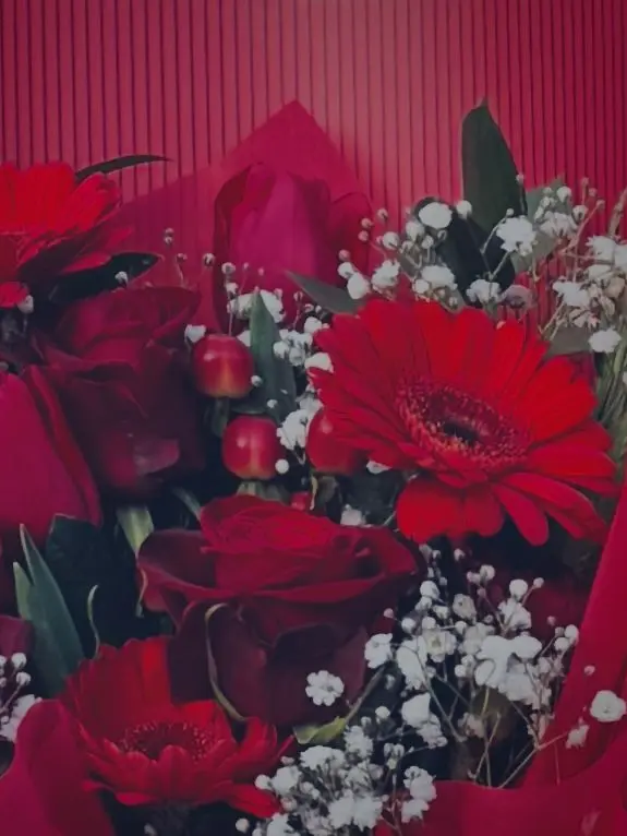 kn_nal5의 ヒロイン育成計画‼️