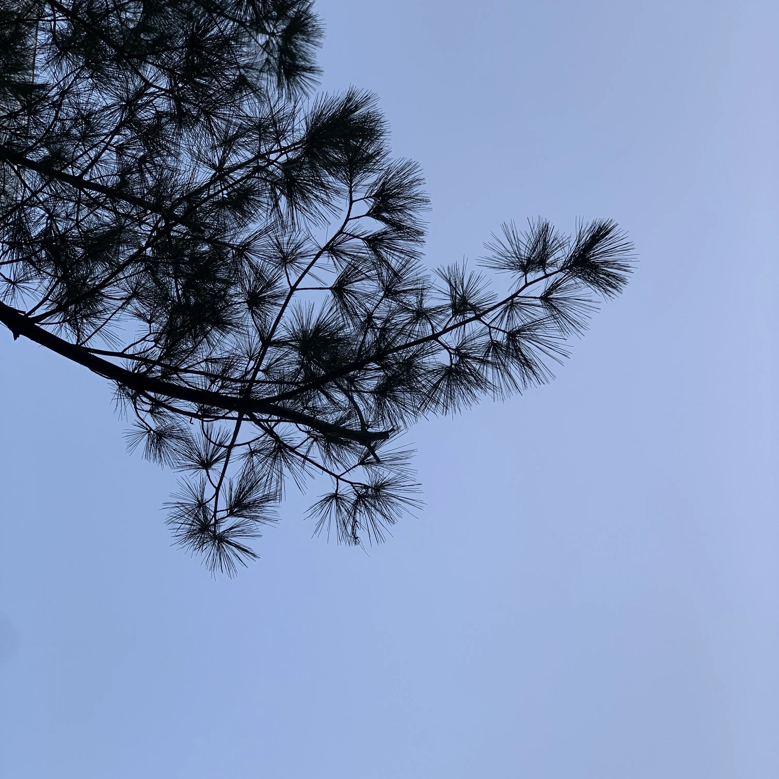 SOYU0690의 도최쿨미