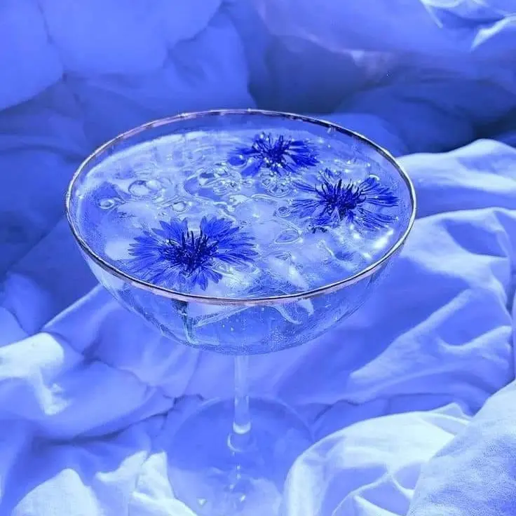 sui3kai0n.의 えすふれんど