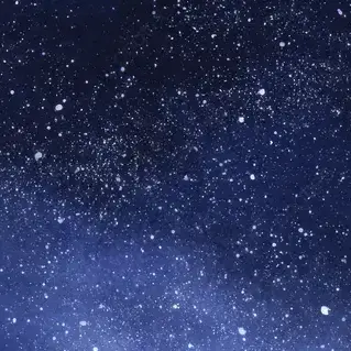 Profile image of 코야나기 로우