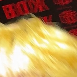 장용준 대표 이미지