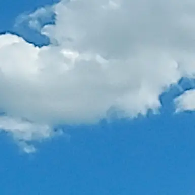 Profile image of 감제이