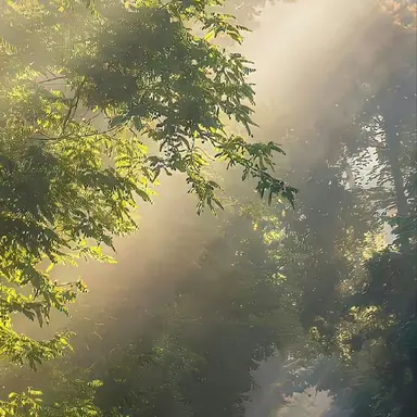 Profile image of 김기명