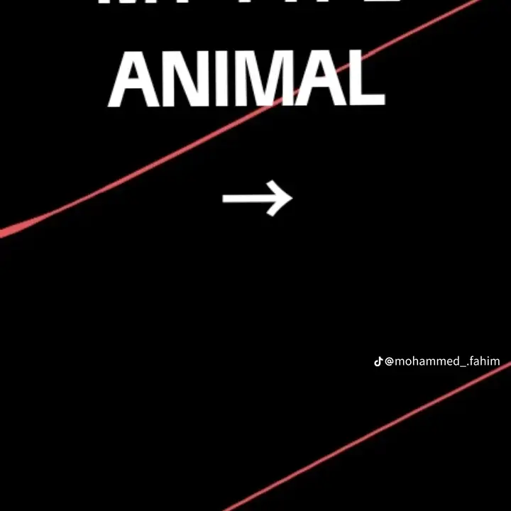 FairHuman3044의 인니닑리ㅣ리