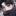 신지후