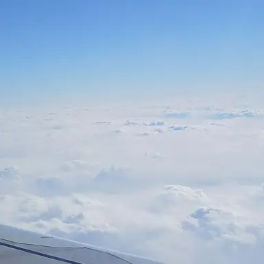 Profile image of 고고 프렌즈