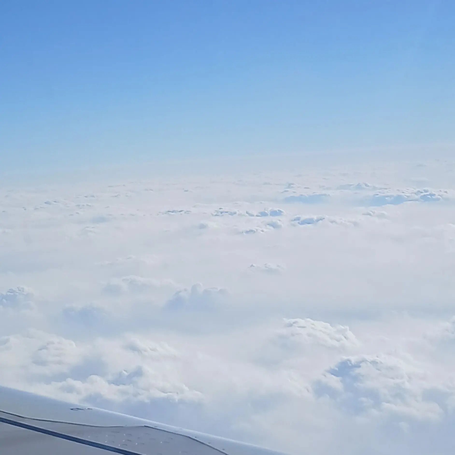 HardStool3445의 고고프렌즈 Mt!!!!!~~ (늑대)