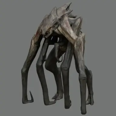 Profile image of 퀸 무토