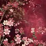 Profile image of 菊