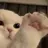 으니