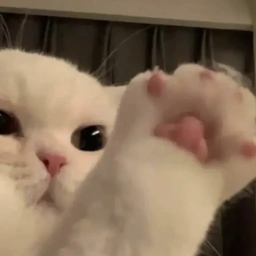 으니