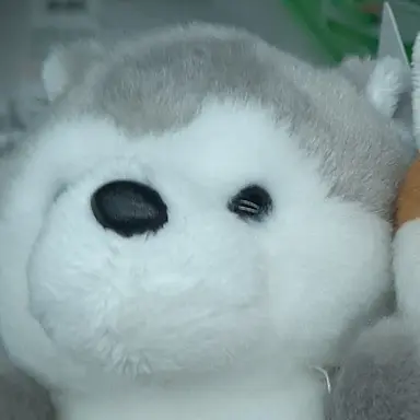 Profile image of 하쿠