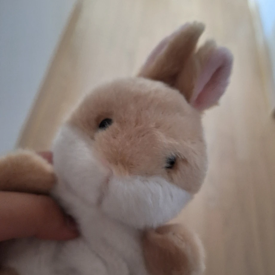 토리