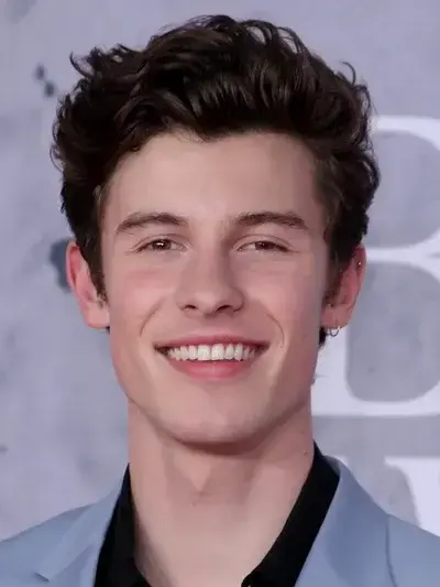 GlazedDoxle7684의 shawn mendes