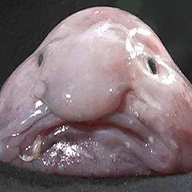 Profile image of 곽춘자