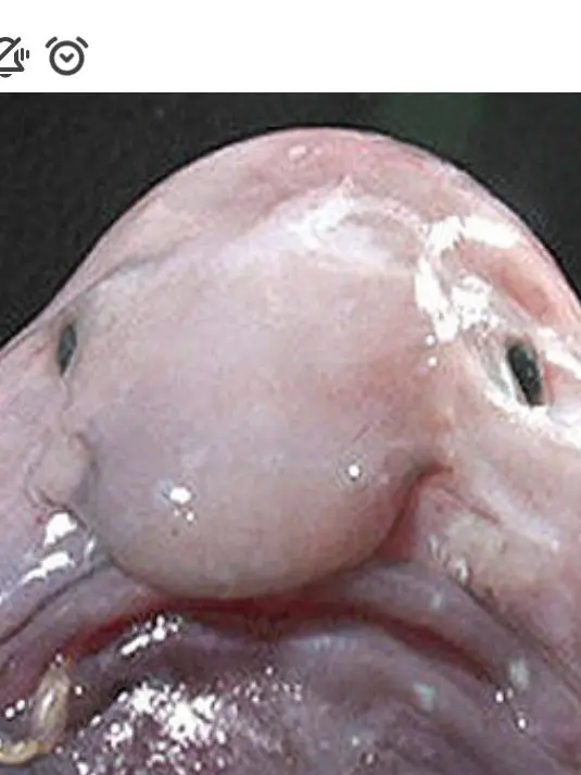 DeepDrums2697의 저주 책~