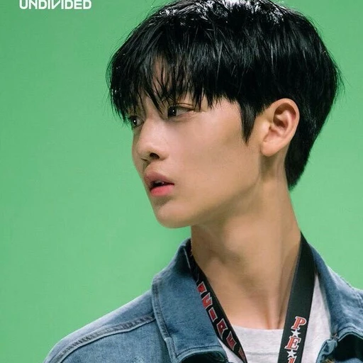 배진영