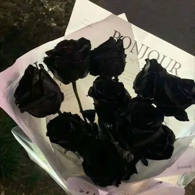 Profile image of 소상택