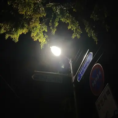 Profile image of 라더