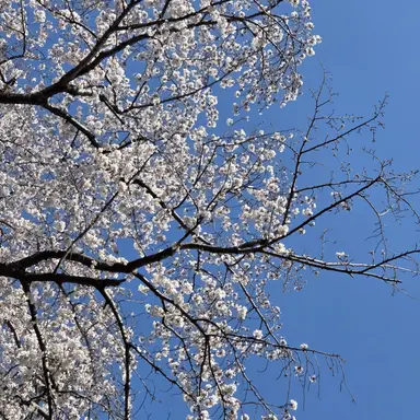 Profile image of 케이디