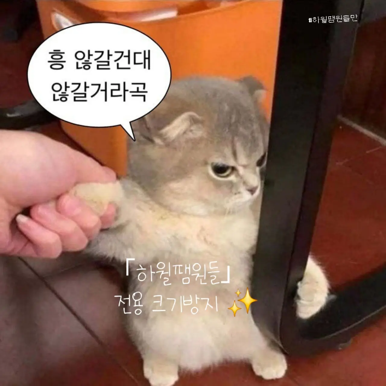 Uni.t_1125의 싸이코드와 픽셀리의 합방!!