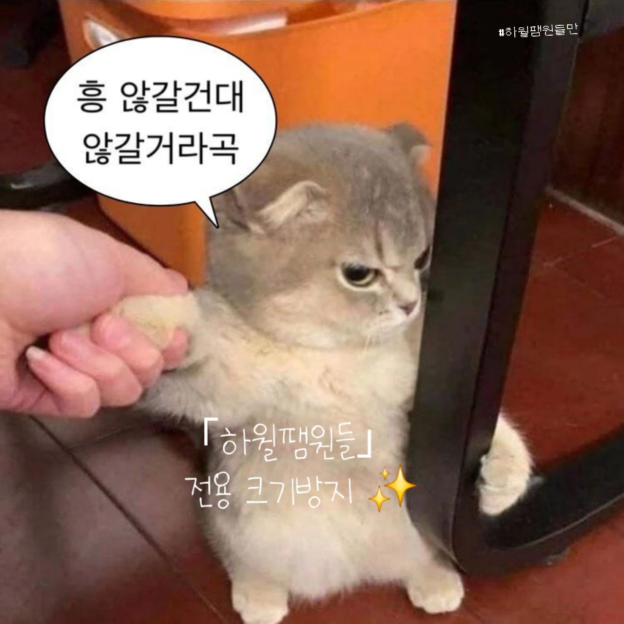 감제이