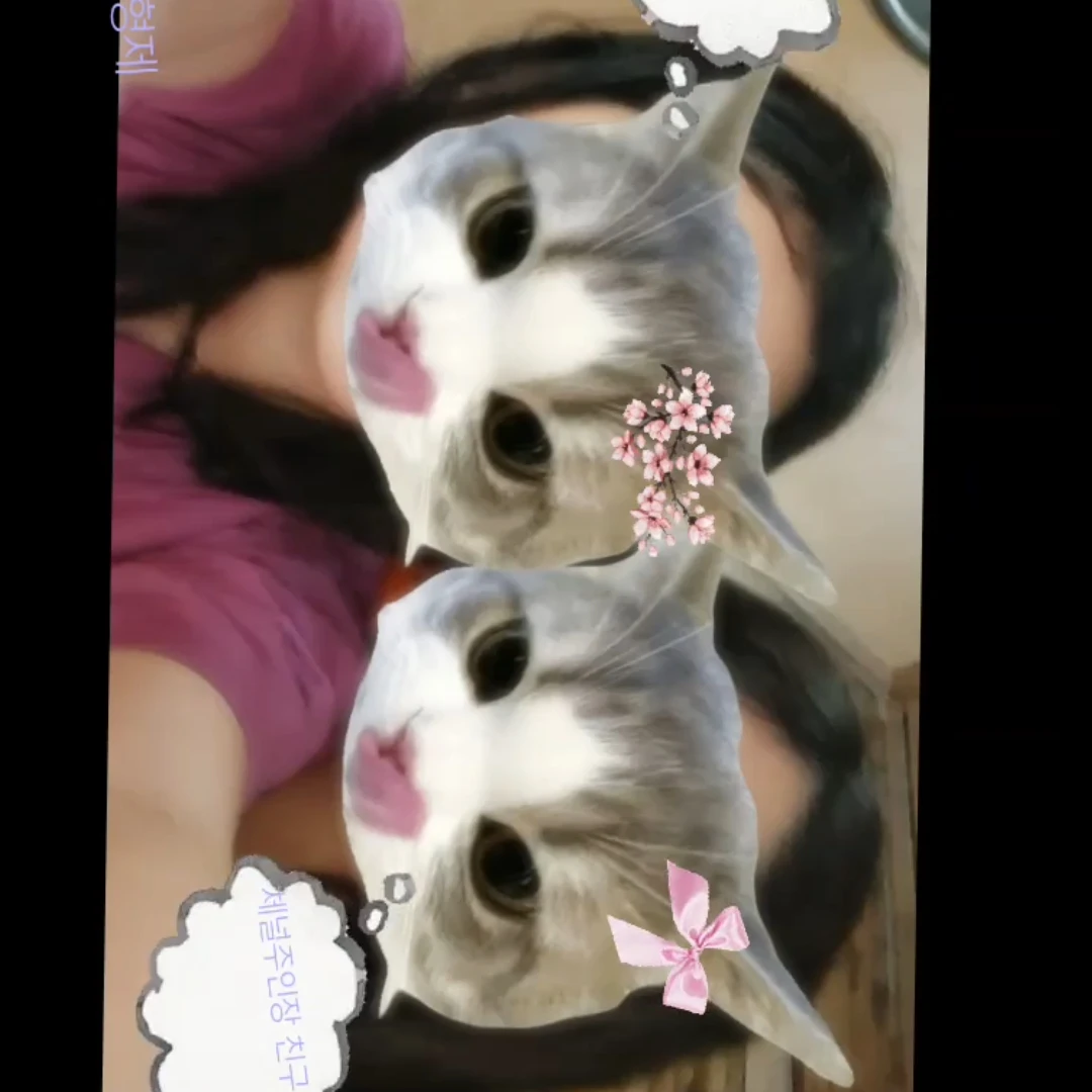 뜰팁 아이돌